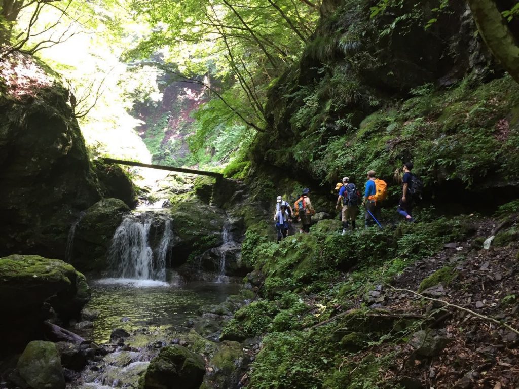 등산애호가협회 奥多摩　川苔山（川乗山）写真